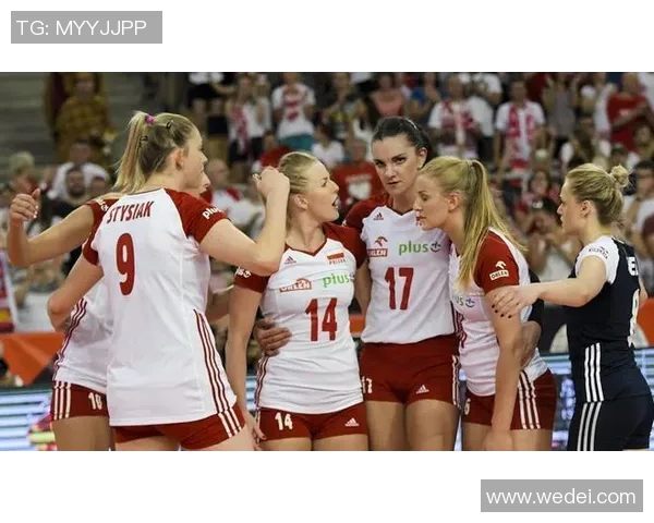 成都排球队在欧锦赛中的节奏表现分析与点评