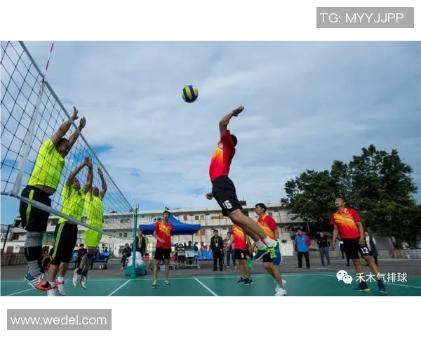 排球战术解析：深入探讨杭州排球队的防守与反击策略